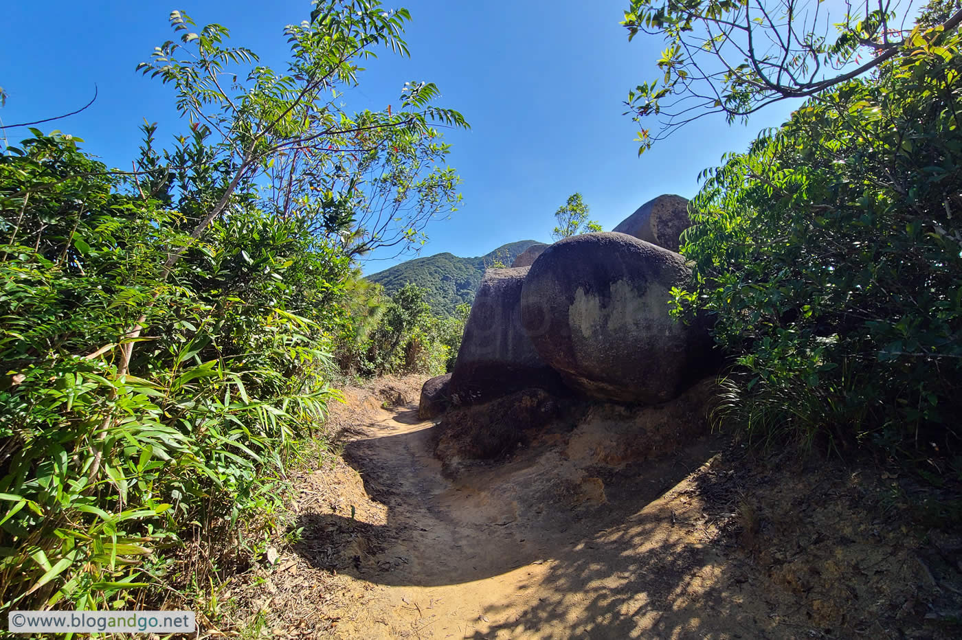 Wong Nai Chung to Stanley - Out From the Tree Lined Canopy